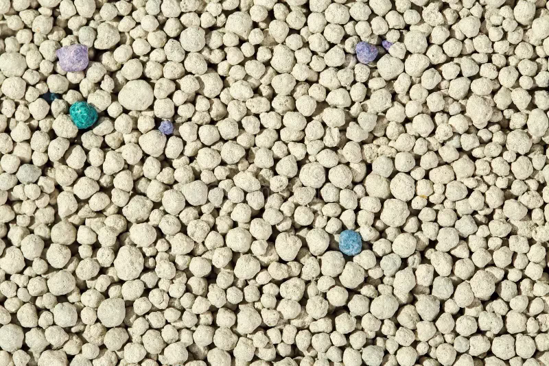 What Are the Disadvantages of Bentonite Cat Litter?