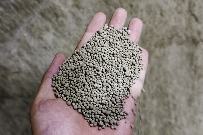 Is Bentonite Cat Litter Harmful to Cats and Humans? A Comprehensive Guide